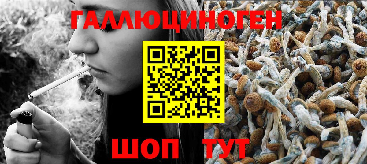 Галлюциногенные грибы Psilocybe Копейск